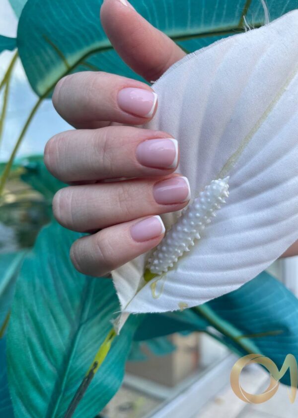 photo_153@01-07-2022_22-43-38